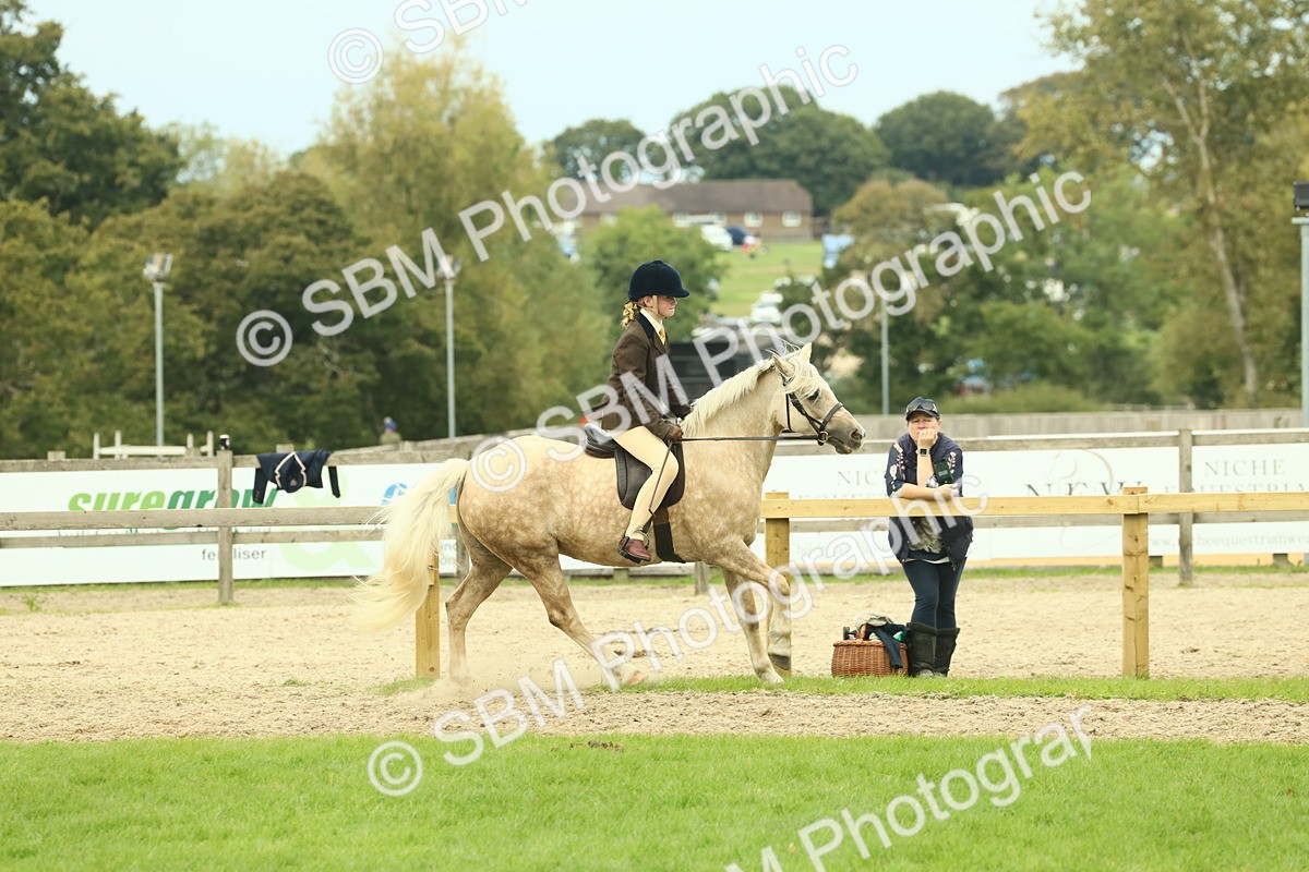SBM_72028 - S60 - Mountain & Moorland Ridden Large Breeds