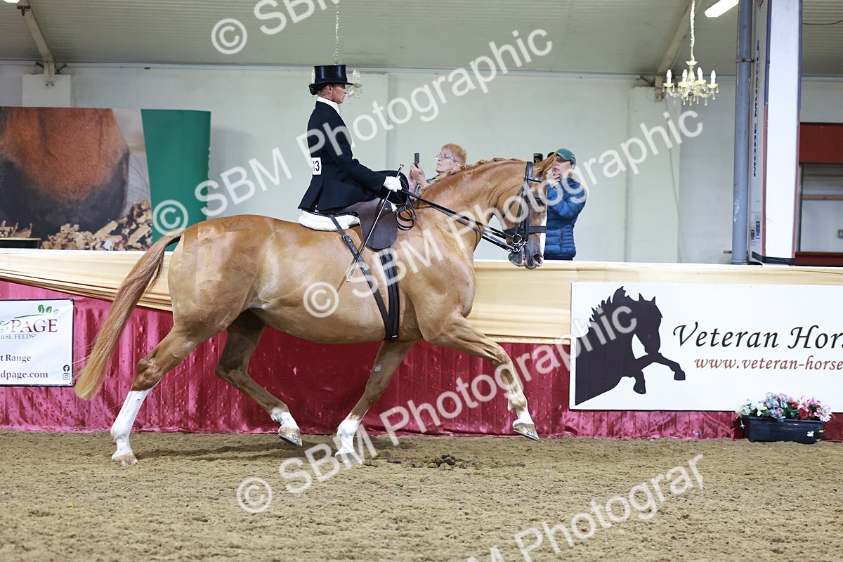 SBM_20948 - Class N - Side Saddle Champ