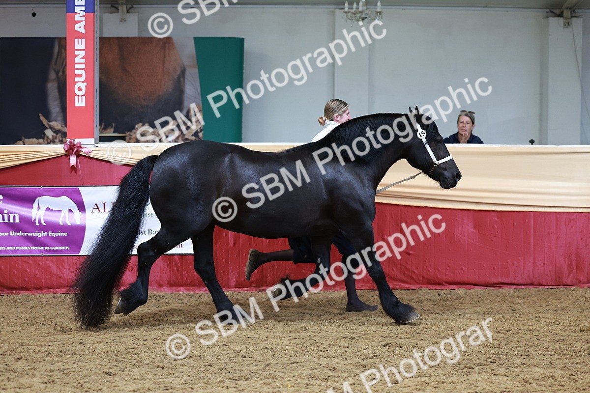 SBM_17620 - Class 951 - M&M IH Supreme Final