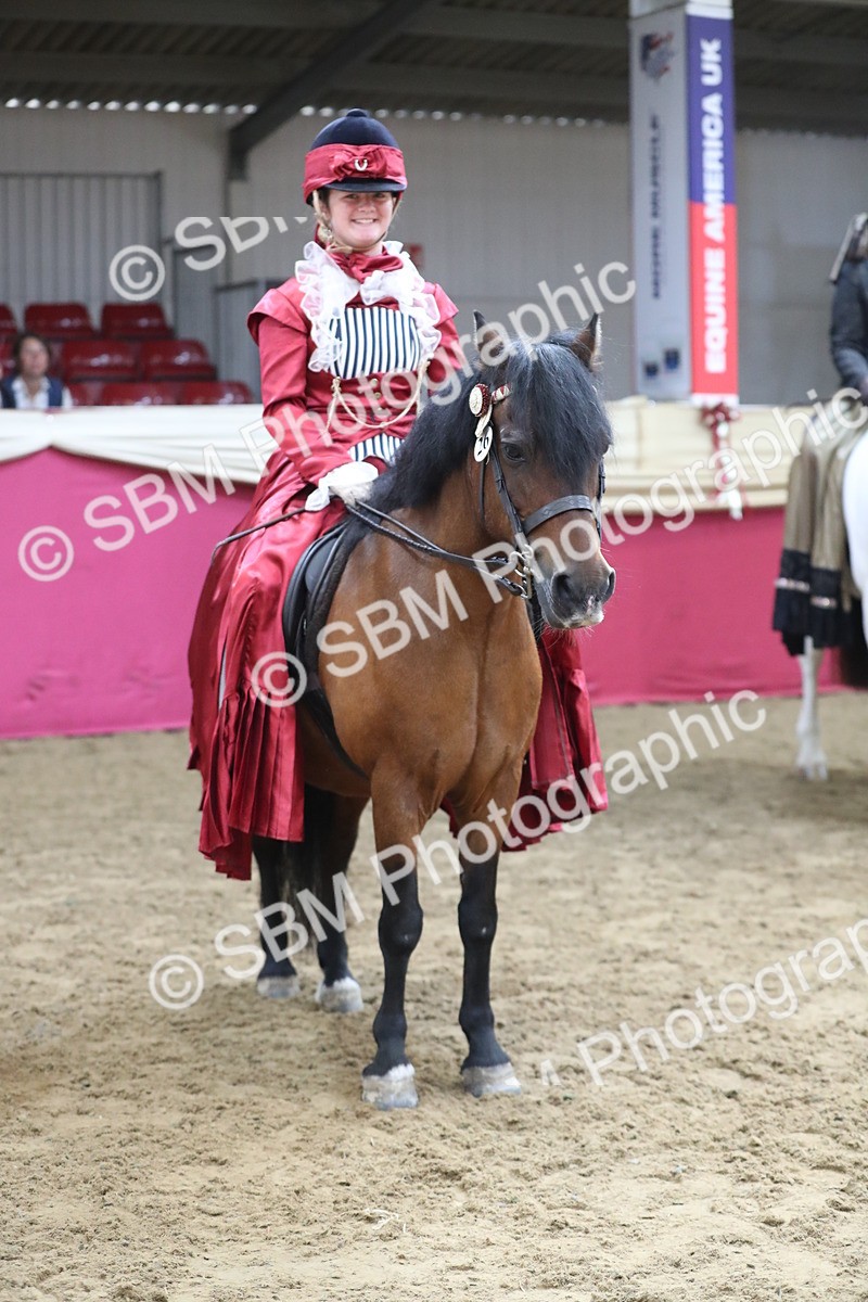 SBM_11286 - Class 104 Ridden Costume - Astride Junior
