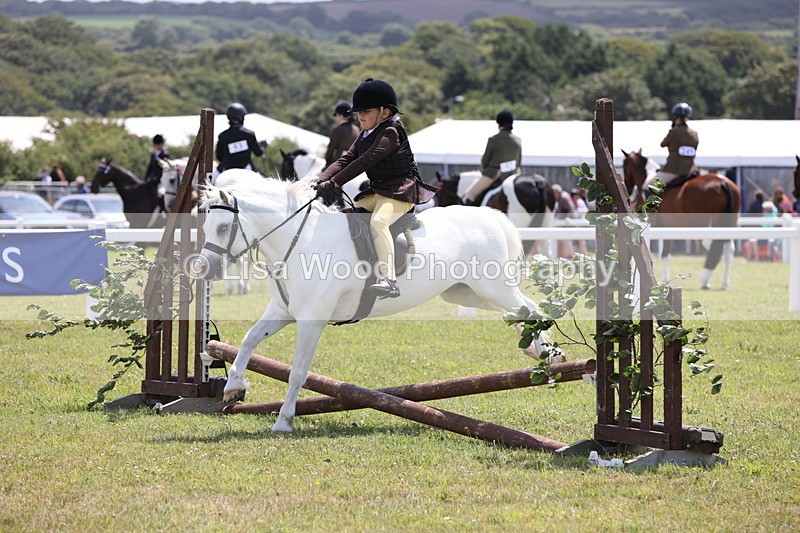 JPP_1833 - Class 18: Tiny Tots Working Hunter Pony