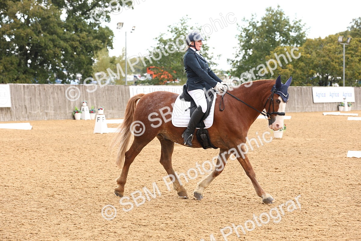 SBM_40631 - D6 - Small Tour Championship Intro 4