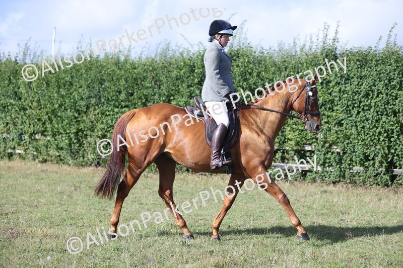 20250831-0906 - Class 14 - Ex Racehorse