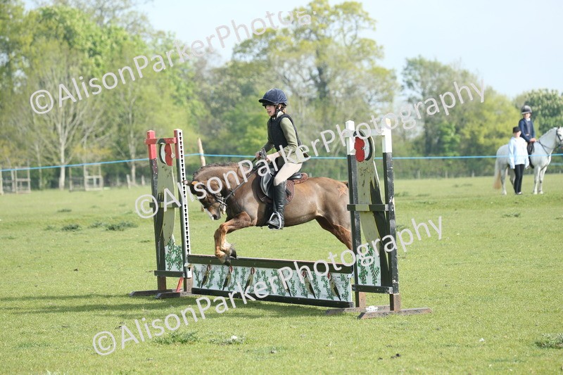 20260426-0035 - Class 13 - Rookie Jumping 50cm
