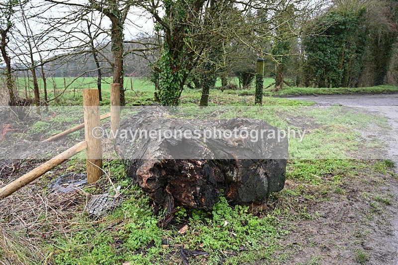 WJ7_9408 - Walk out..