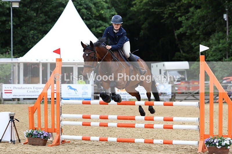 3E7A6363 - Class 4: Senior British Novice/90cm open