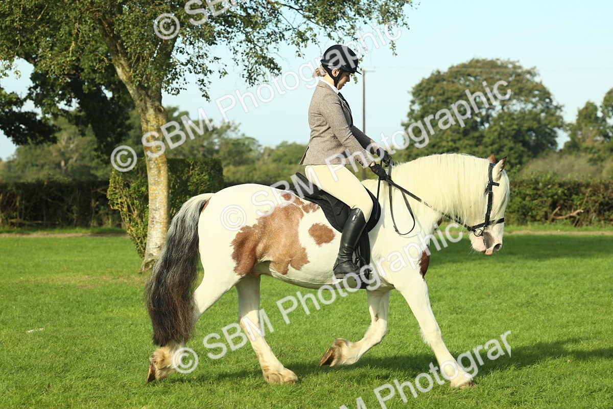 SBM_59849 - S38 - Starters Ridden Showing