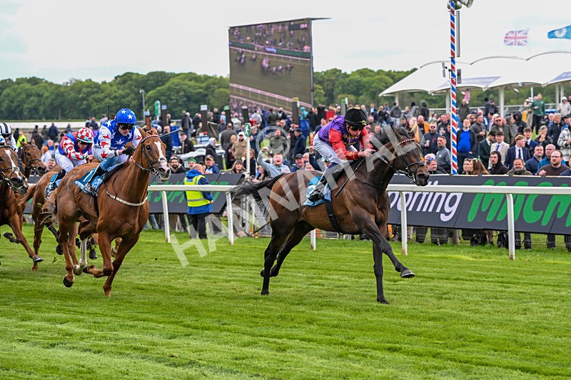150526-Race 3-Warrant Holder-7547 - Race 3 2.55pm Support Macmillan Charity Raceday On 13 June Handicap
