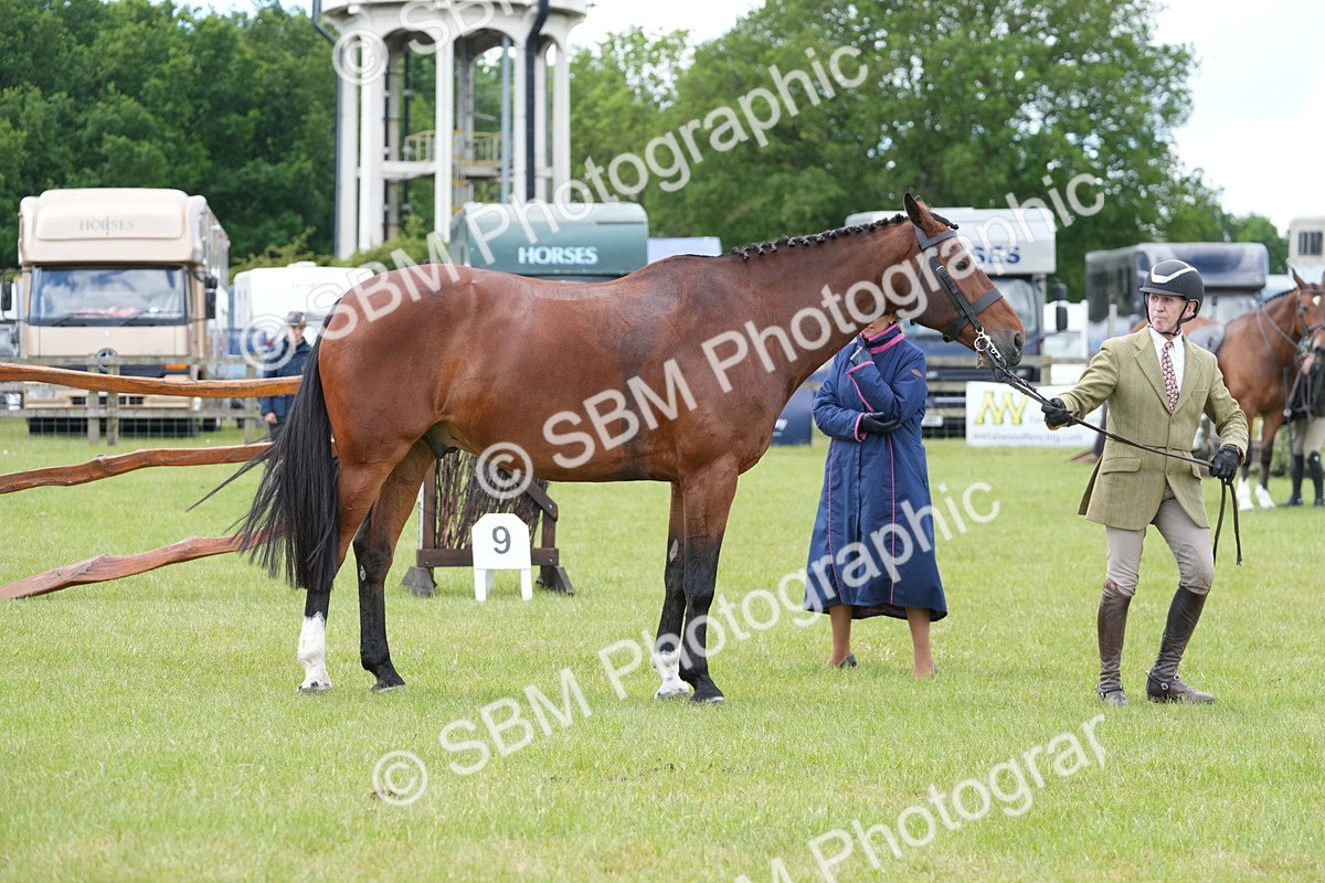 SBM_15042 - Class 100-102 - RIHS Working Hunter