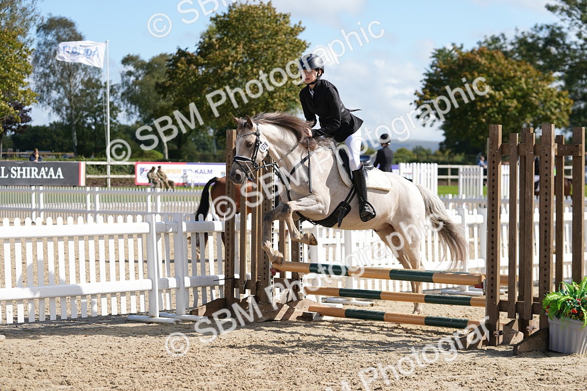 SBM_46627 - J7 - Junior Pony 60cm Championship