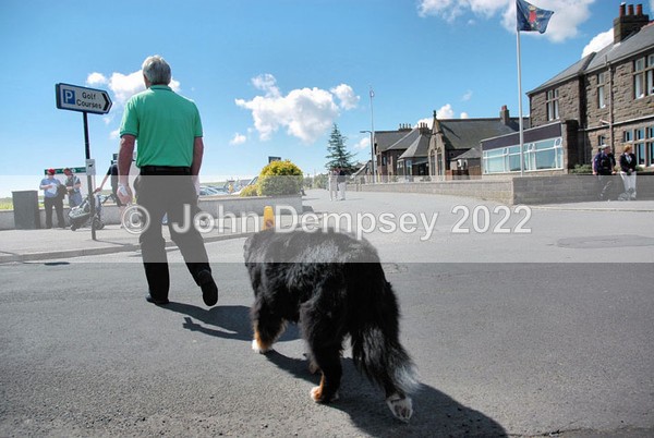 Where to now - Walking the Dog