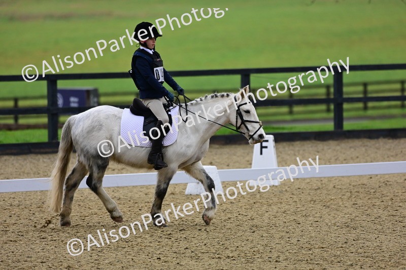 20260125-0518 - Class 9b - Walk Trot Unassisted