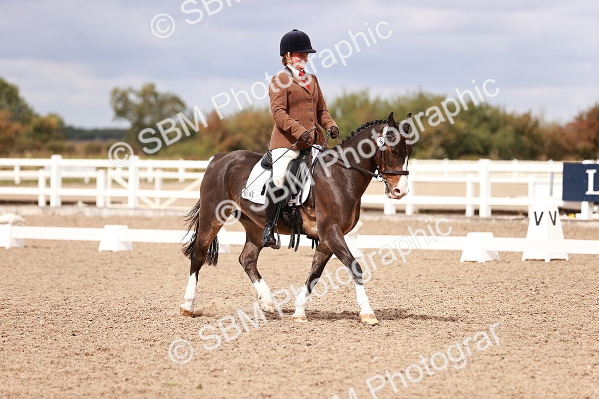 SBM_06222 - Class 37 - Novice 5