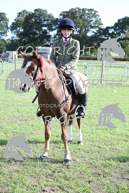 APP_4197 - Class 15a/b Pony club pony/Riding club horse
