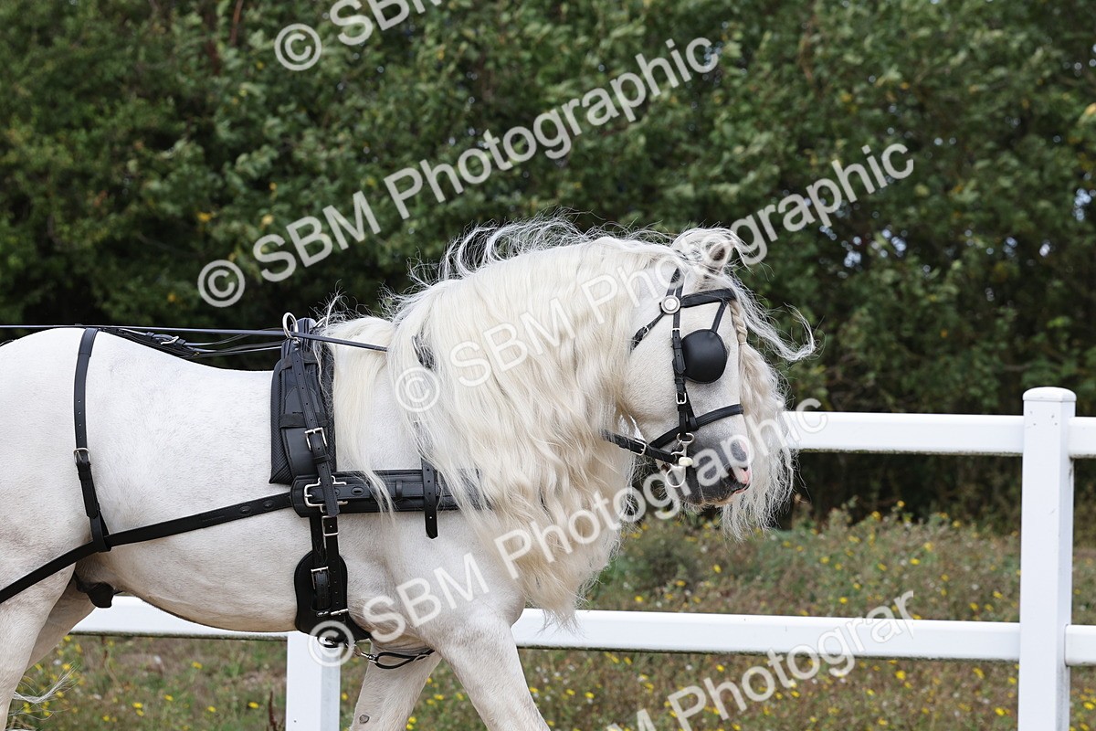 SBM_001137 - Class 16 - Pairs ,Multiples and Tandems