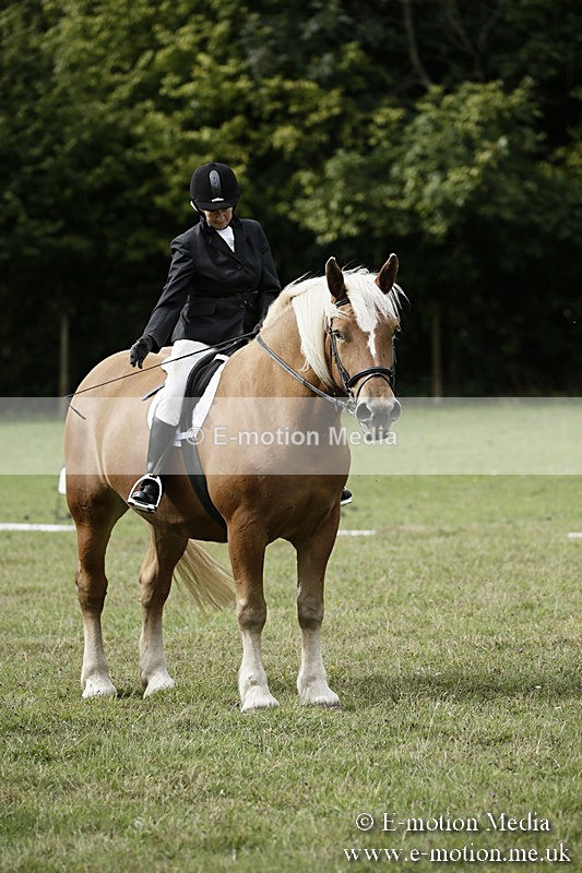 BVR080918 147 - BVRC Novice Dressage & CR 08/09/18