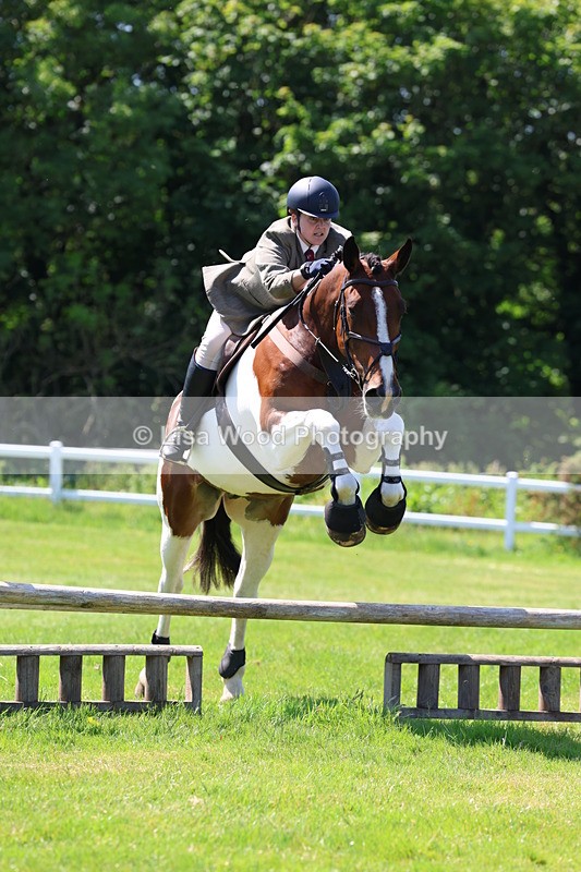 3E7A6871 - Class 30: Novice Working Hunter