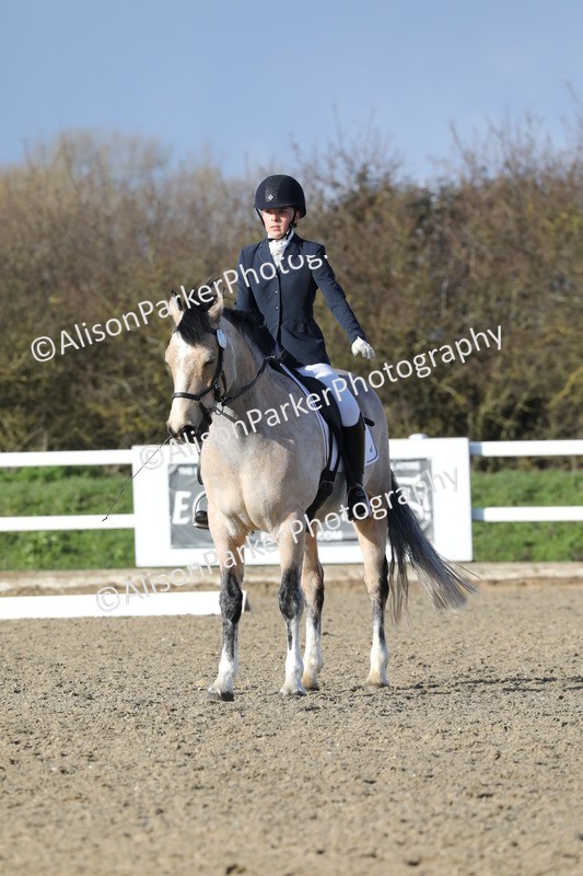 20260314-5848 - DR 7 - Elementary 1