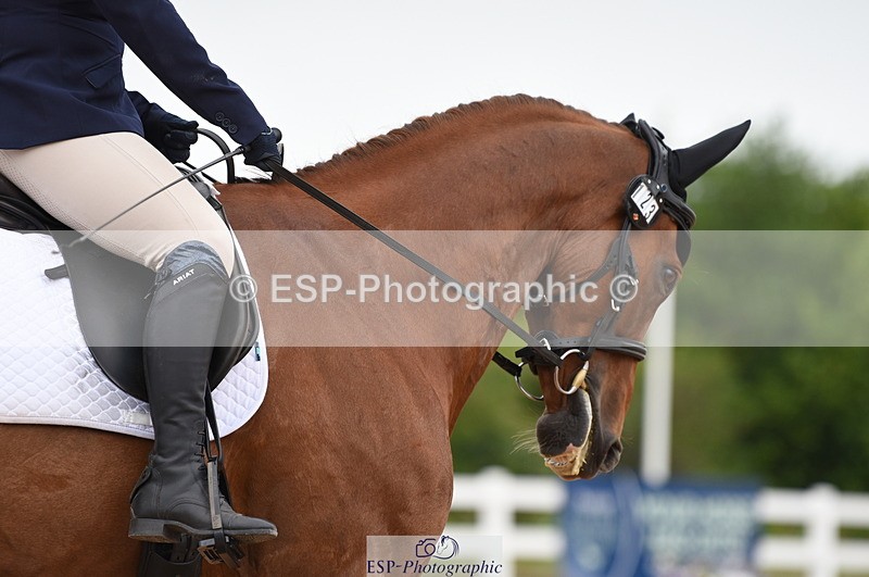 230630A-110822-00970 - Cls 4 Novice 23 Start to 11.30 break