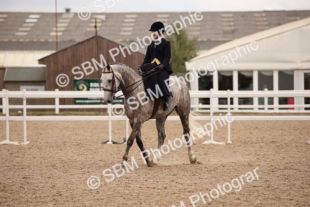 SBM_05485 - Class 22 SSA Equitation