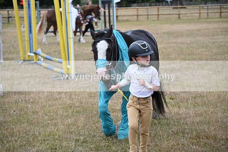 WJ6_8800 - Class 11 Fancy Dress