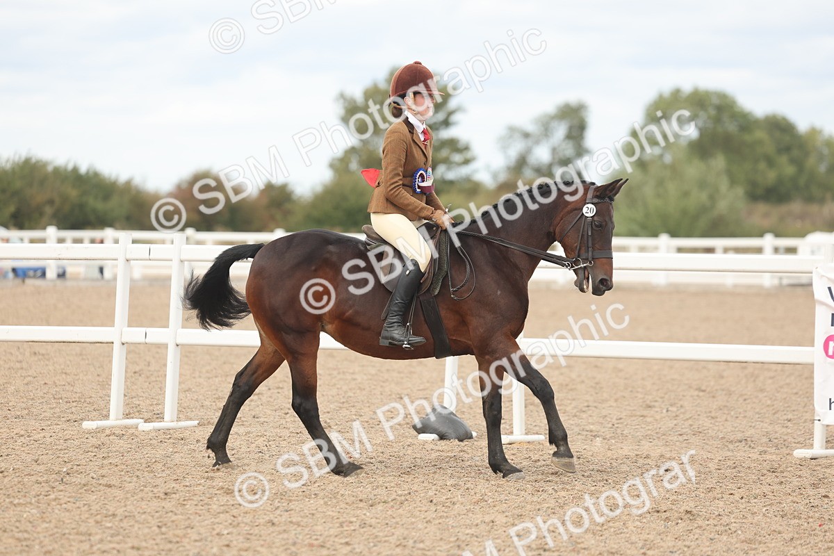 SBM_18094 - Class 314 - Family Horse Pony