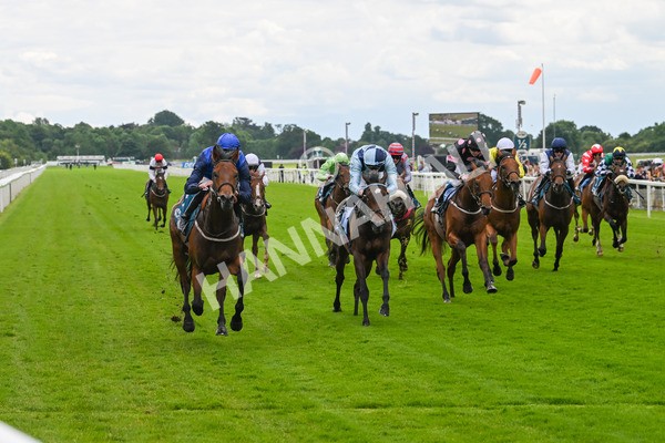 140624-Race 2-Inconspicuous-3970 - Race 2 2.25pm CGE Yorkshire Rous Selling Stakes