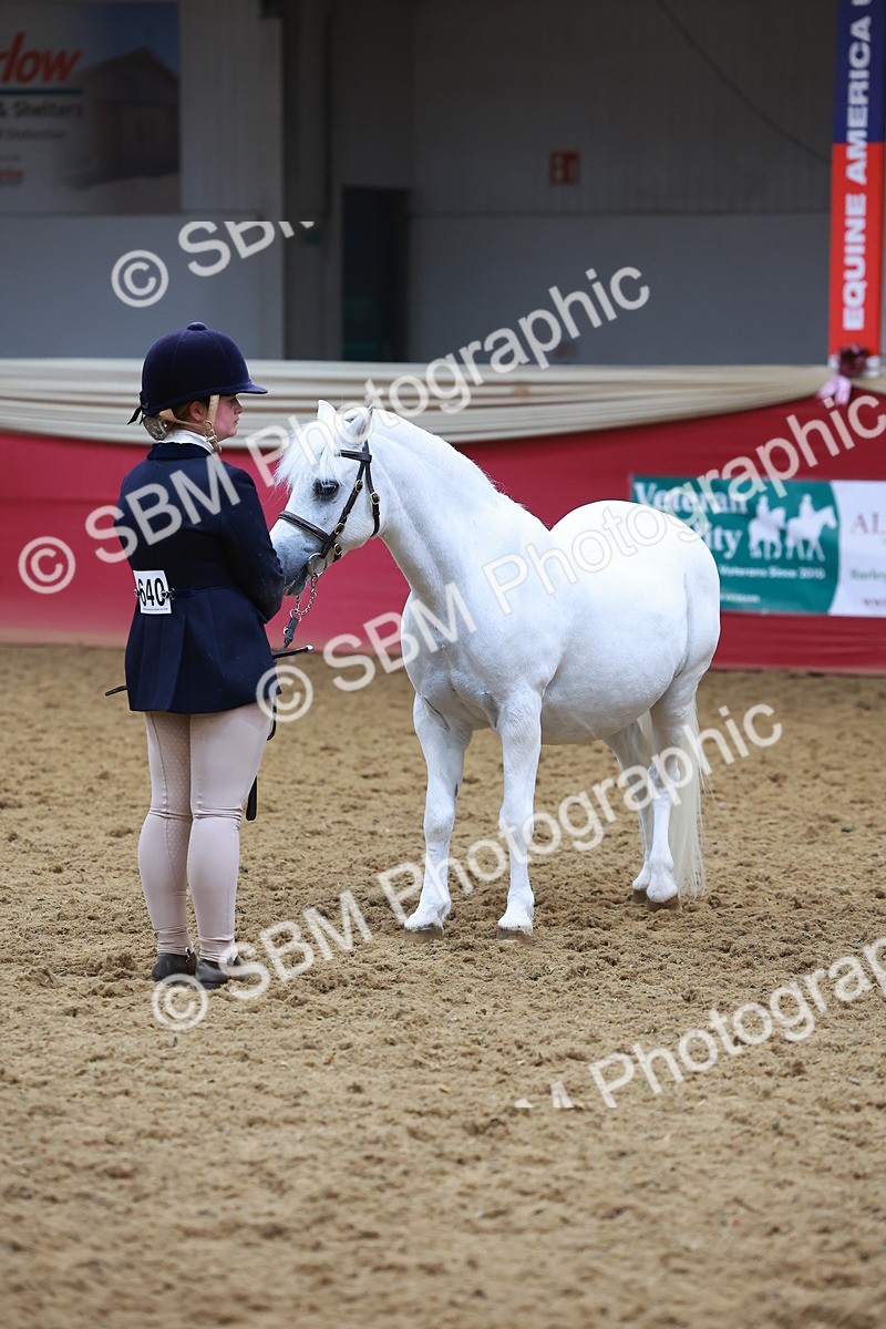 SBM_16729