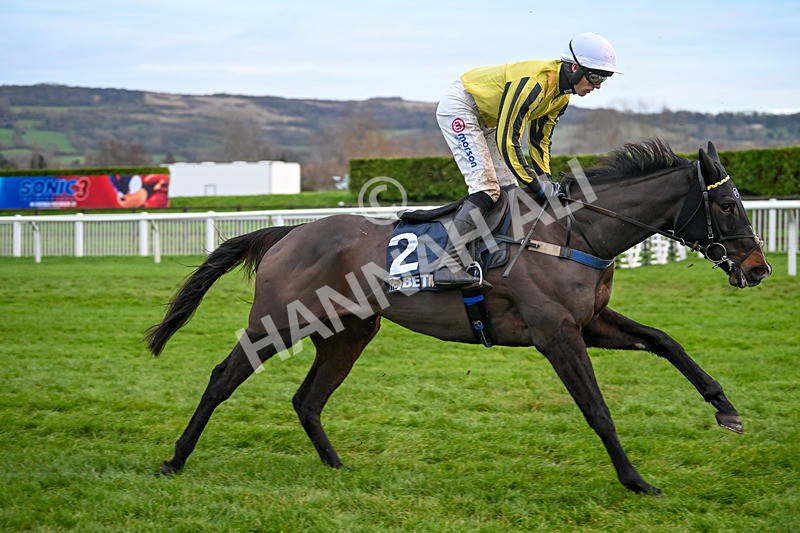 141224-Race 7-Sweet Fantasy-2311 - Race 7