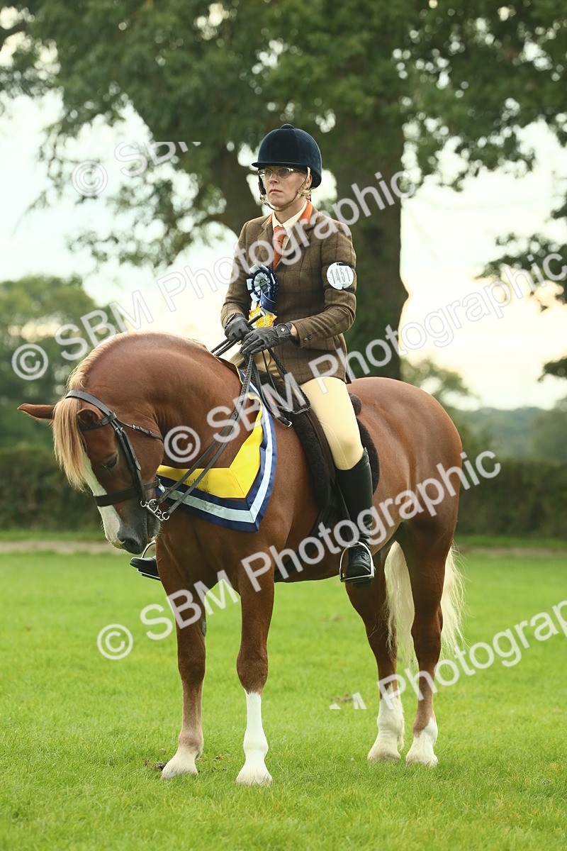 SBM_75273 - Super Supreme Championship