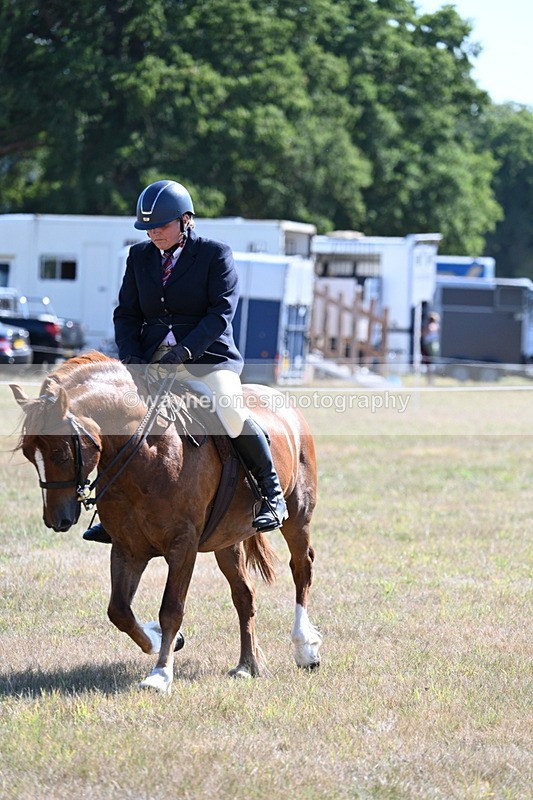 WJ7_3872 - Class 9 Mountain & Moorland Ridden