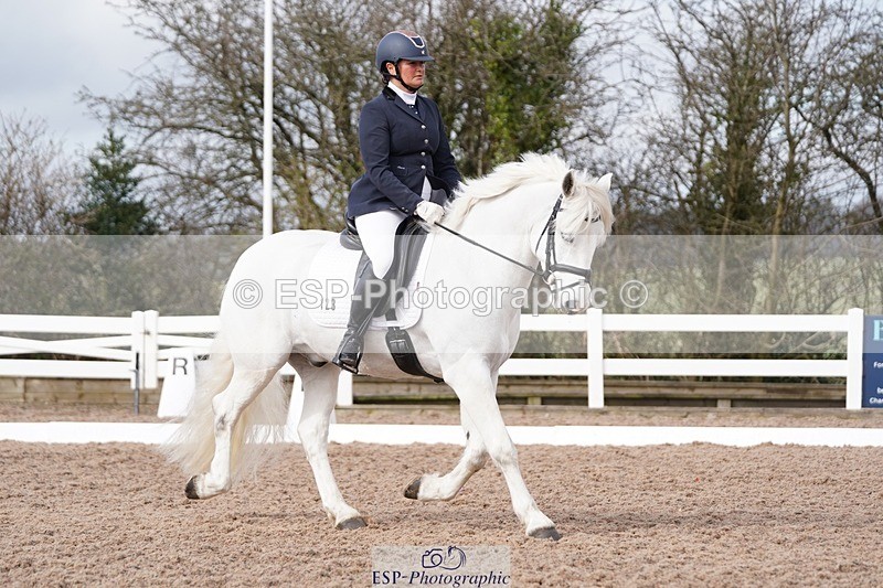 250322-101158-00136 - DR Prelim 2 Test