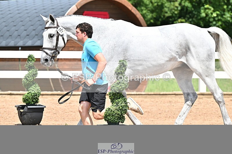 240718A-105313-01714 - Trot Up 1pm to 2pm