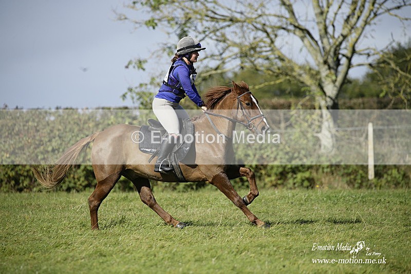  WWHT 031021 1545 - Open Novice (0.80m) 03/10/21