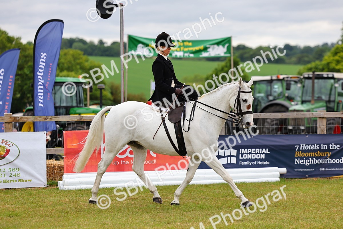 SBM_02883 - Class 9-11 Side Saddle including LIHS Rising Star Ladies Show Horse