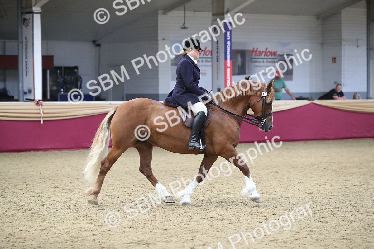 SBM_16463 - Class 502 M&M Ridden Supreme Final