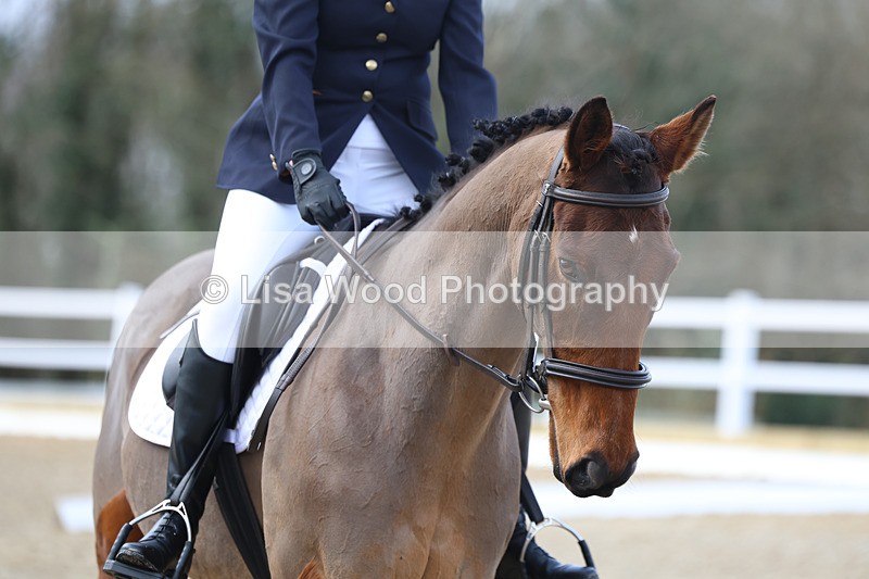 3E7A8933 - Class 2: Intro 1 2024 sec B - part one