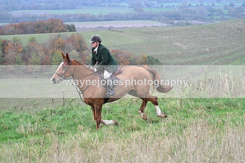 WJ7_9881 - Camera 1 & Last fence