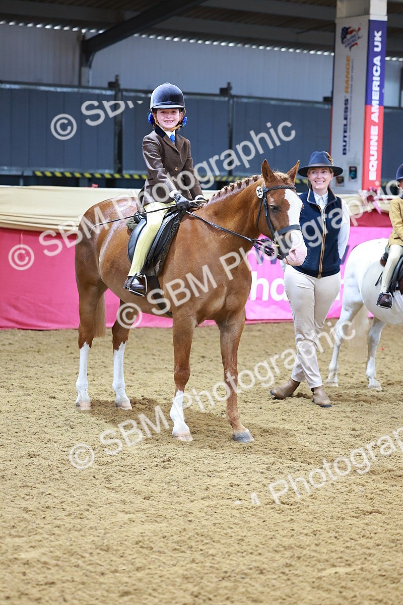 SBM_07733 - Class 101 - HOYS Veteran Qualifier - Ridden Diamond