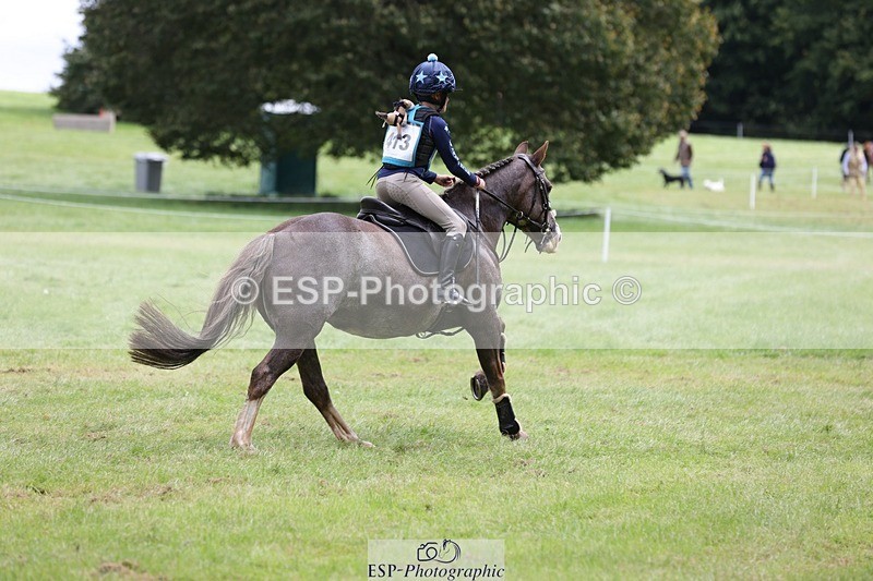 230827-123613-25318 - XC 12 to 13