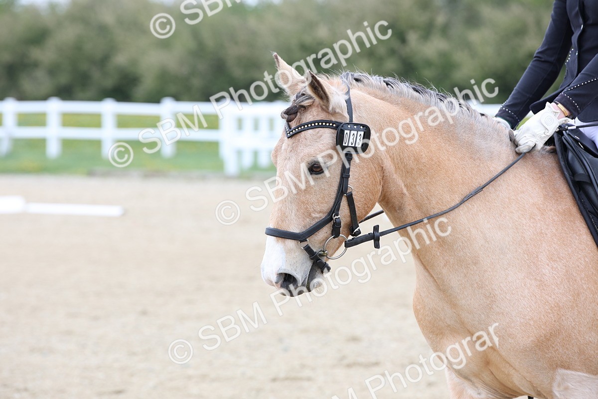 SBM_006384 - Class 1-3 - Intro 1 Lead Rein-Intro 4
