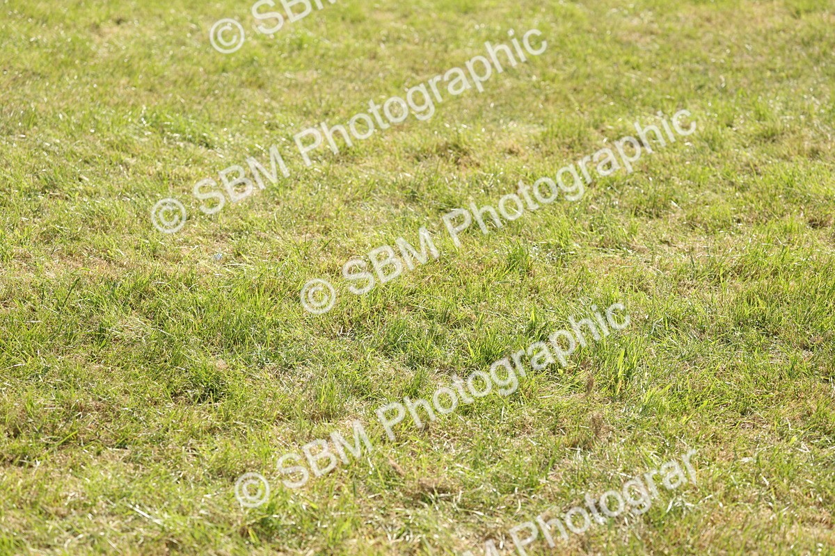 SBM_09737 - Class 33-38 - SSADL RIHS Qualifiers