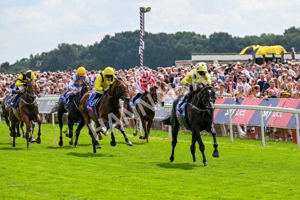 260725-Race 3-Royal Champion-0448 - Race 3 2.40pm Sky Bet York Stakes