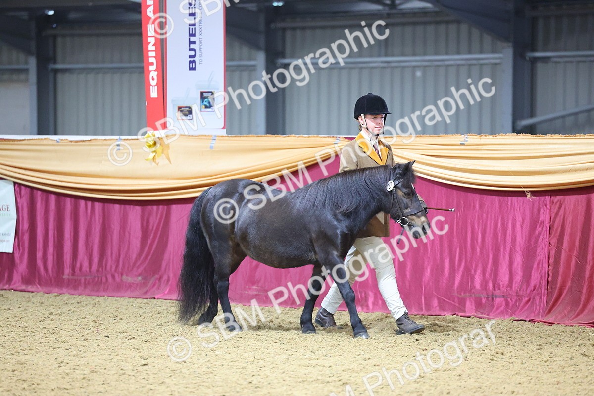 SBM_19577 - Class 901 - Supreme Final - IH Diamond