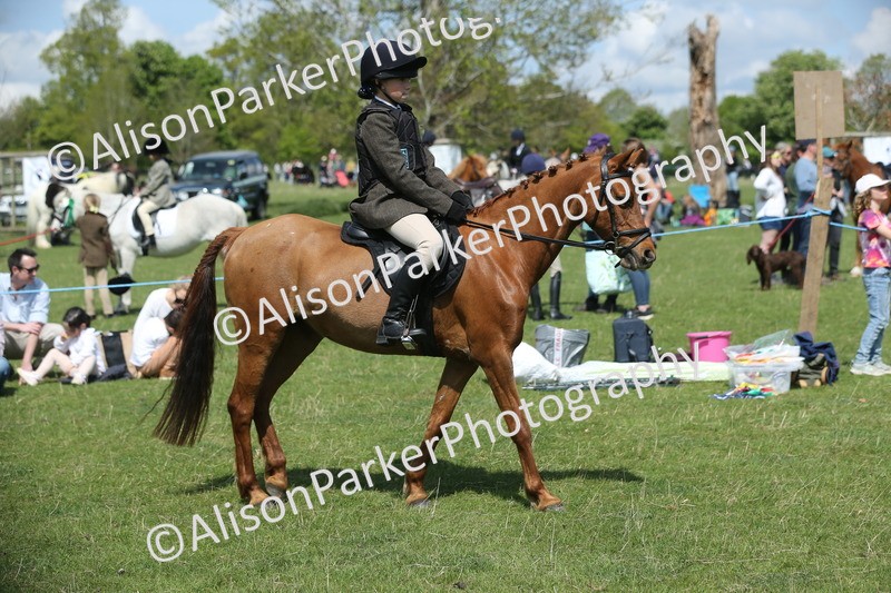 20250427-2811 - Class 7 - Prettiest Mare