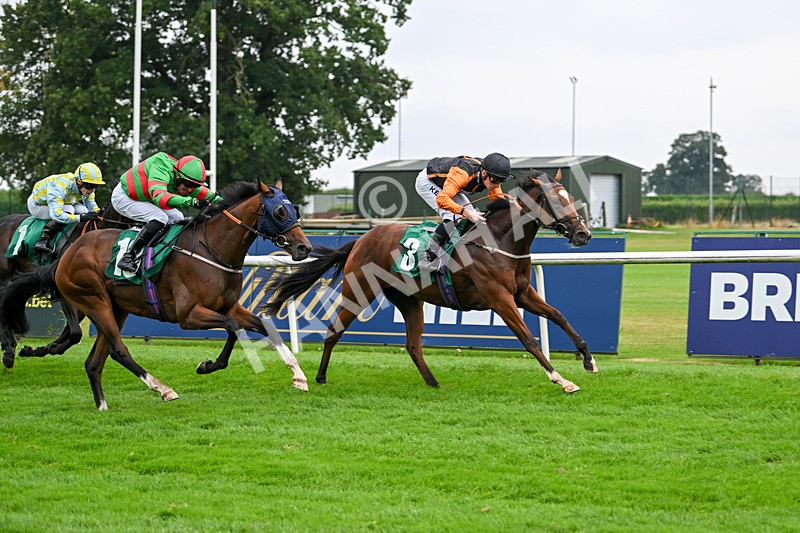 070924-Race 2-Cymbidium-7164 - Race 2