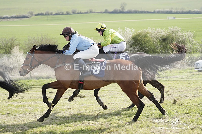 PtP 080423 589 - Dingley Races The Woodland Pytchley Hunt PtP 08/04/23