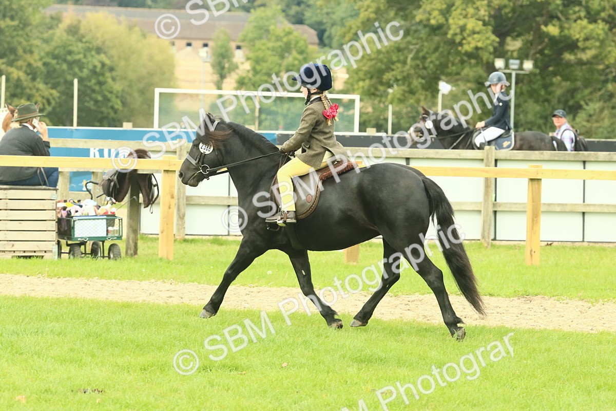 SBM_69967 - S59 - Mountain & Moorland Ridden Small Breeds