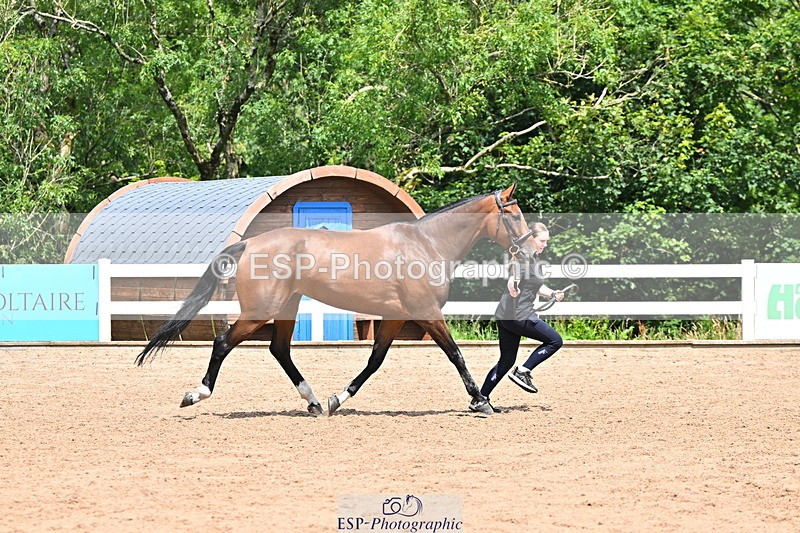 240718A-105306-01568 - Trot Up 1pm to 2pm
