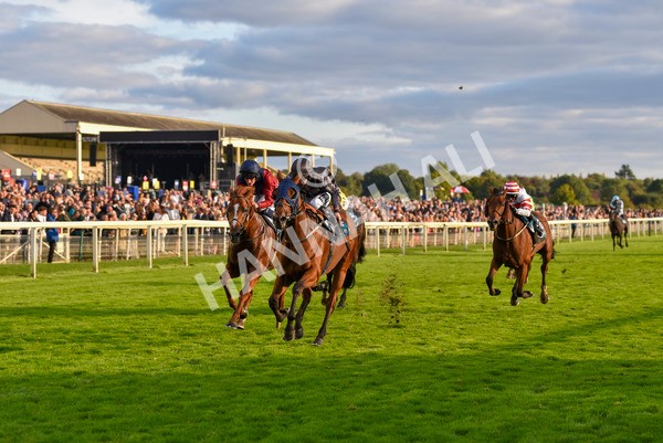 230923-Race 7-Two Brothers-7183 - Race 7 5.30pm Neil Atkinson's 60th Birthday Celebration Handicap